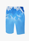 HERITAGE BLUE